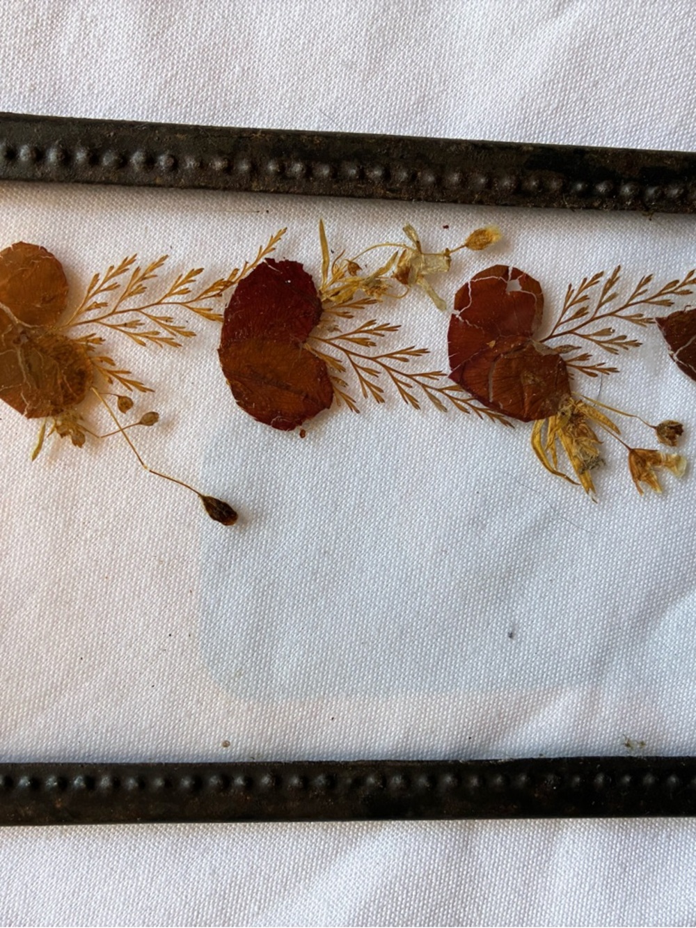 Lasting Impressions stained glass pressed real flower Hearts window candle Spike - Picture 3 of 11